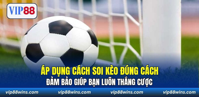 Áp dụng cách soi kèo đúng cách đảm bảo giúp bạn luôn thắng cược 