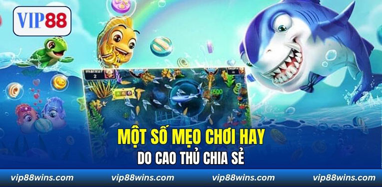 Một số mẹo chơi hay do cao thủ chia sẻ