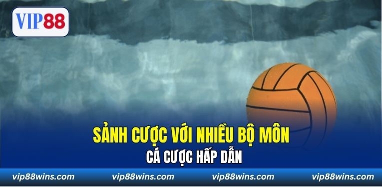 Sảnh cược với nhiều bộ môn cá cược hấp dẫn